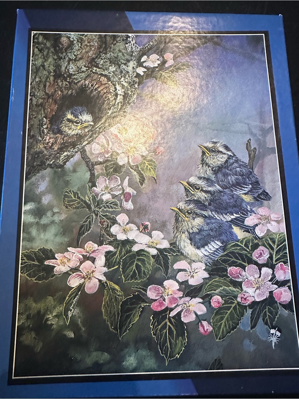Floral Birds Decorative Puzzle Box - Blue